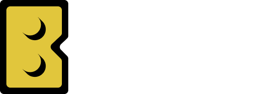 Brick Budget